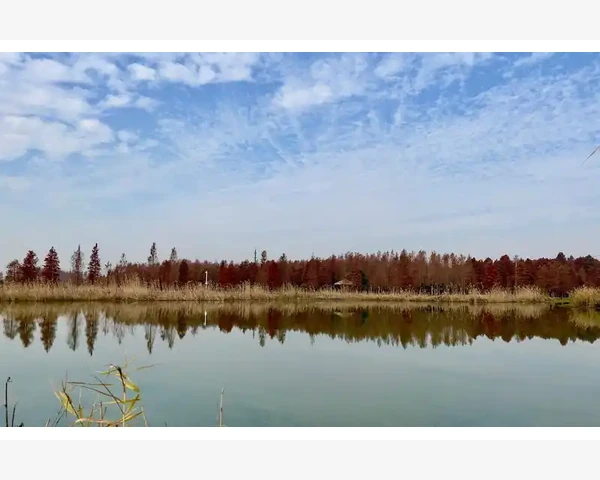 手指湿气的调养方法：传统中医帮你远离湿气烦恼