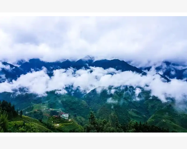 干姜粉——消除痰涎的卓越神器