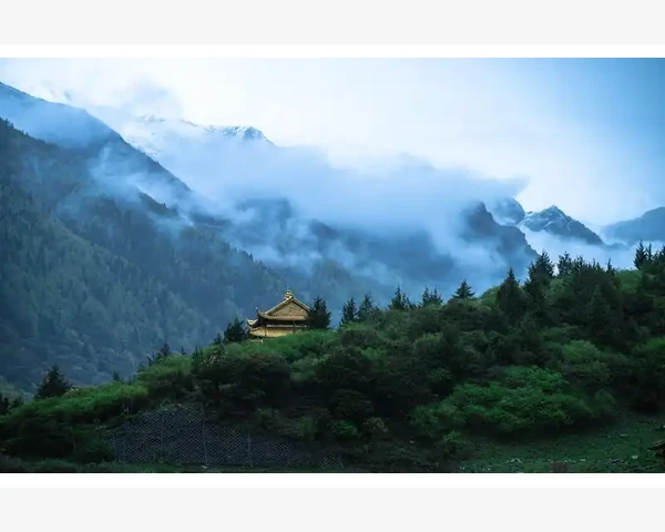 B2B供应链如何重塑企业采购新生态